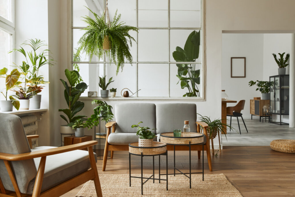 Interior escandinavo moderno da sala de estar com sofá cinza de design, poltrona, muitas plantas, mesa de café, tapete e acessórios pessoais