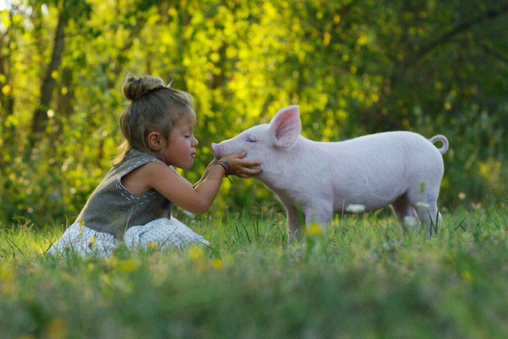Menina sentada na grama beijando porco
