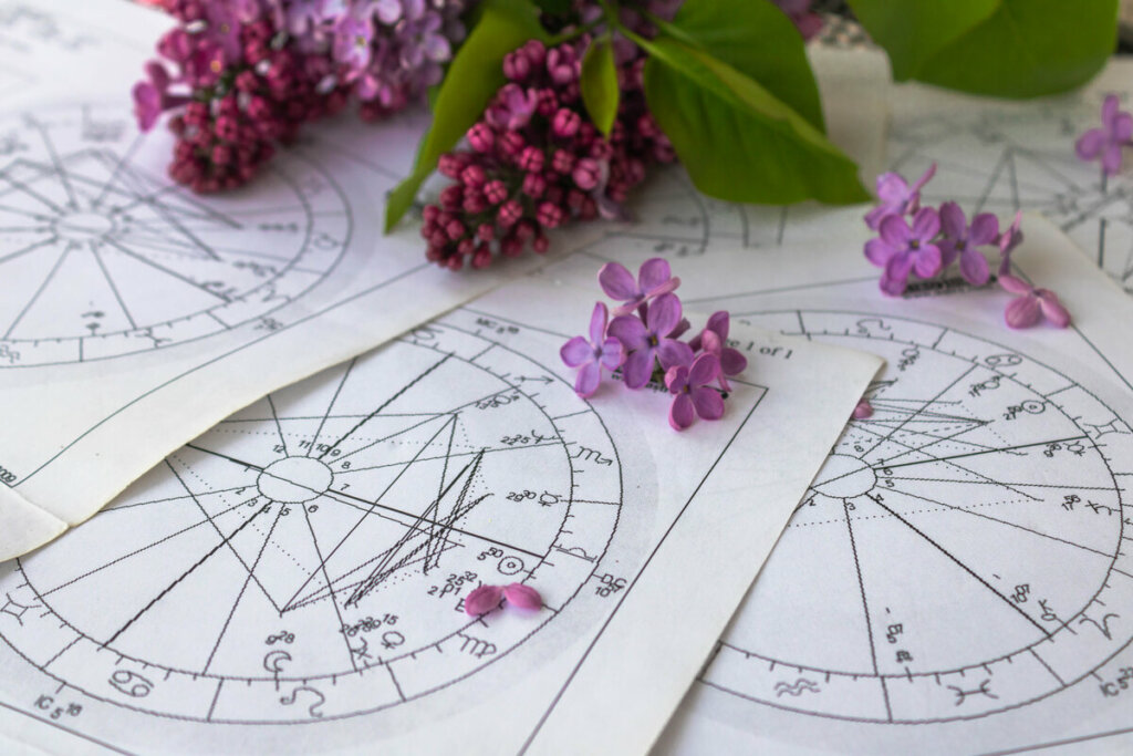 Papéis com mapa astral em uma mesa com flores