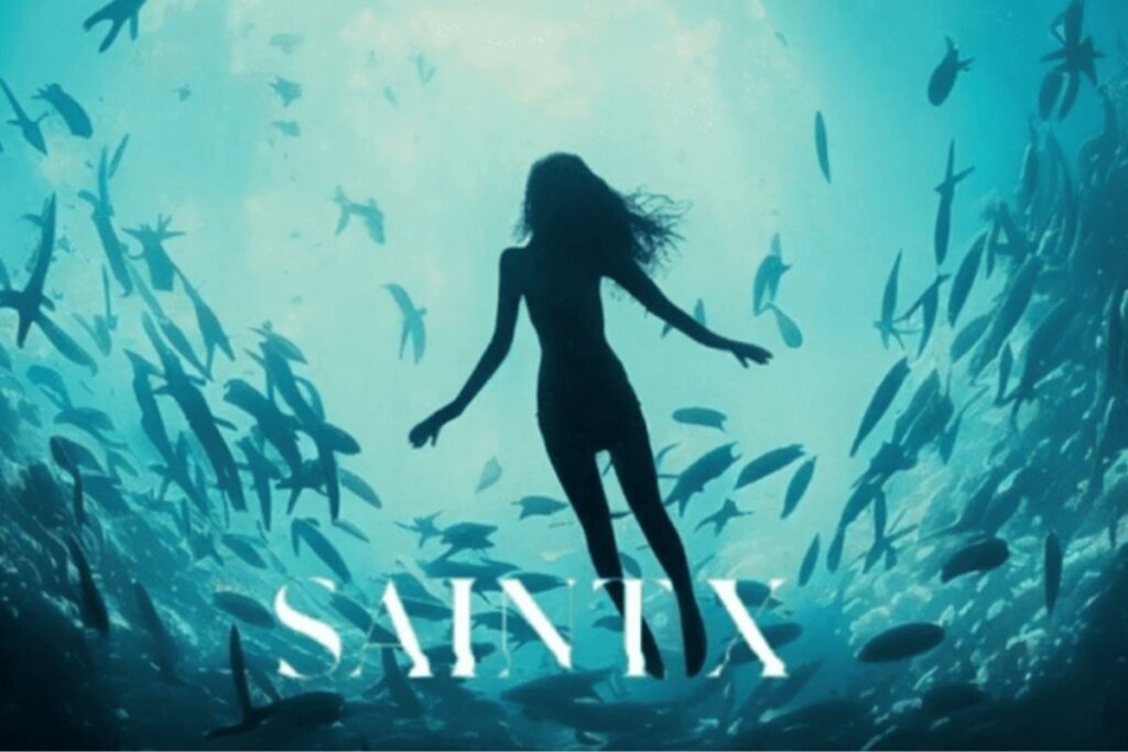 Capa da série “Saint X”
