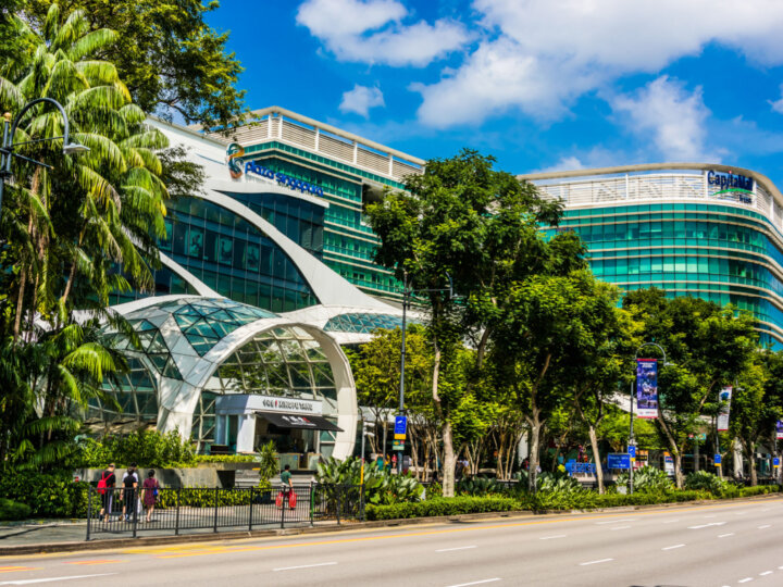 Entenda por que Singapura é considerada a cidade mais verde do mundo