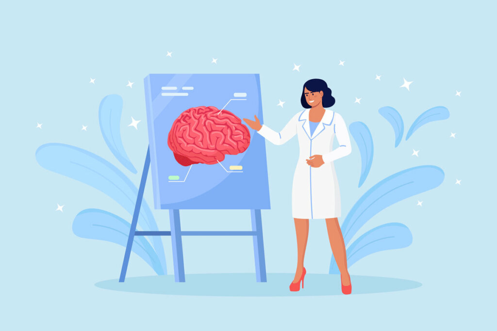 Ilustração de uma médica apontando para o desenho de um cérebro