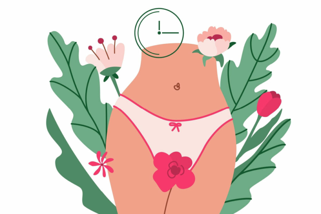 Ilustração de um corpo feminino da cintura pra baixo com uma calcinha branca. A imagem representa o período de reprodução feminino. O fundo da imagem possui flores rosas e folhas verdes