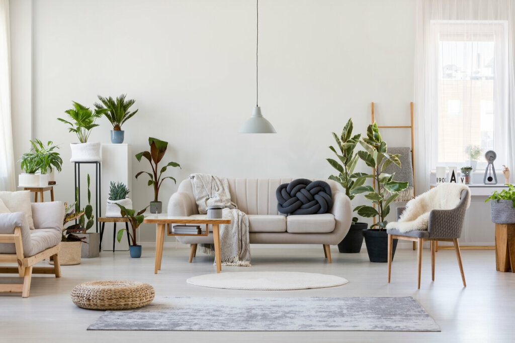 Sala de estar com móveis de madeira, vasos de planta, sofá e luminária 