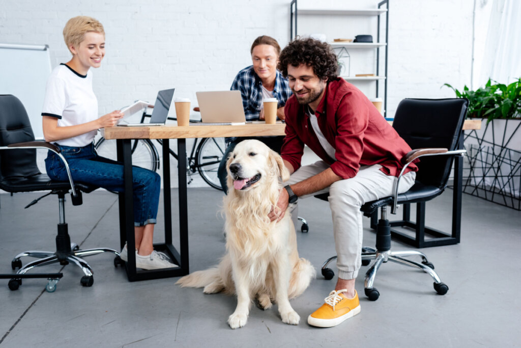 Jovens empresários olhando para o cão enquanto trabalham no escritório.