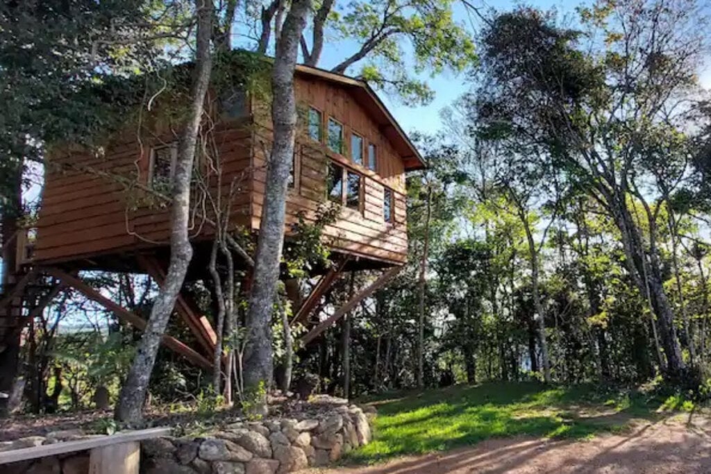 Casa na árvore em meio à floresta