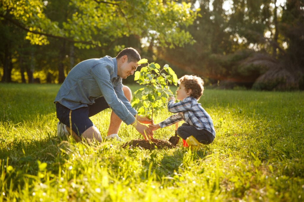 Pai vestindo camisa cinza e shorts com  filho de camisa xadrez, os dois estão plantando árvore sob o sol.