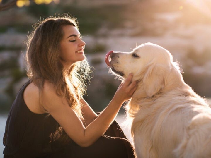 11 dicas para passear com seu cachorro no shopping