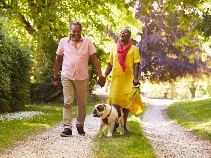 5 passos para limpar as patas do cachorro após o passeio