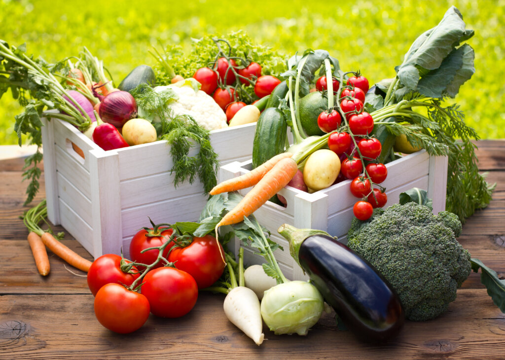 Várias verduras e legumes orgânicos em caixotes brancos