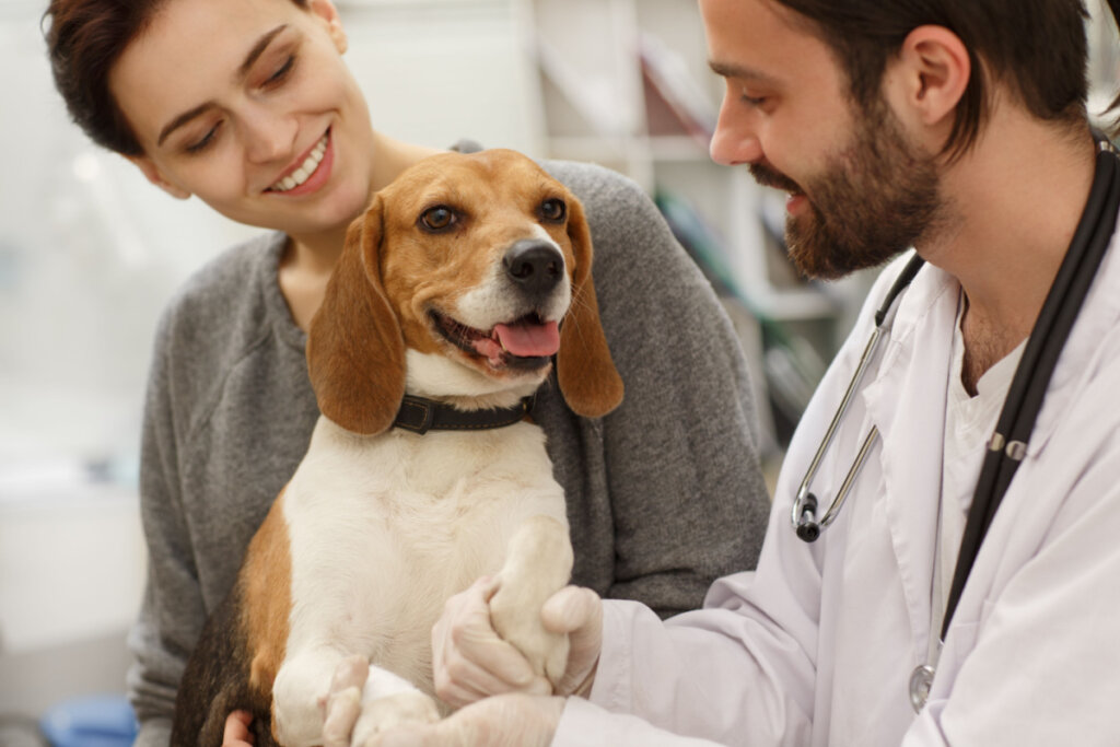 Veterinário atendendo cachorro, que está no colo da dona. Todos sorridentes.