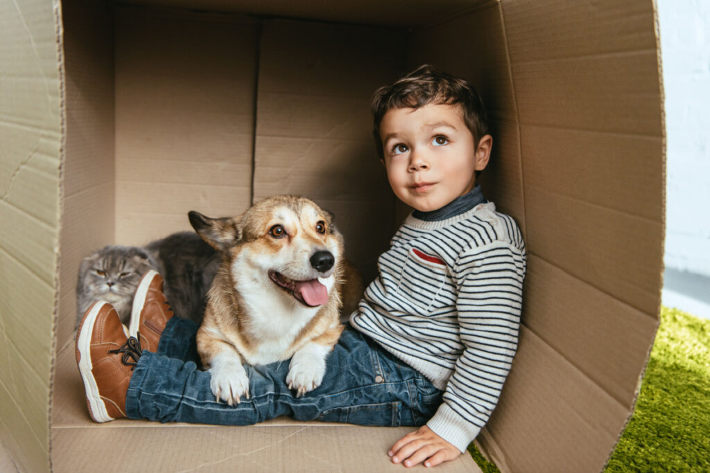 Menino com cachorro e sentado em caixa de papelão