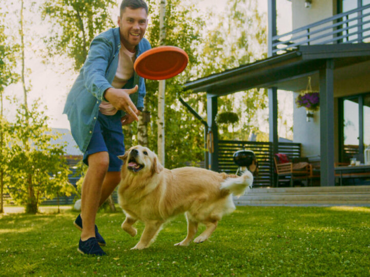 10 brincadeiras para fazer com o seu cachorro