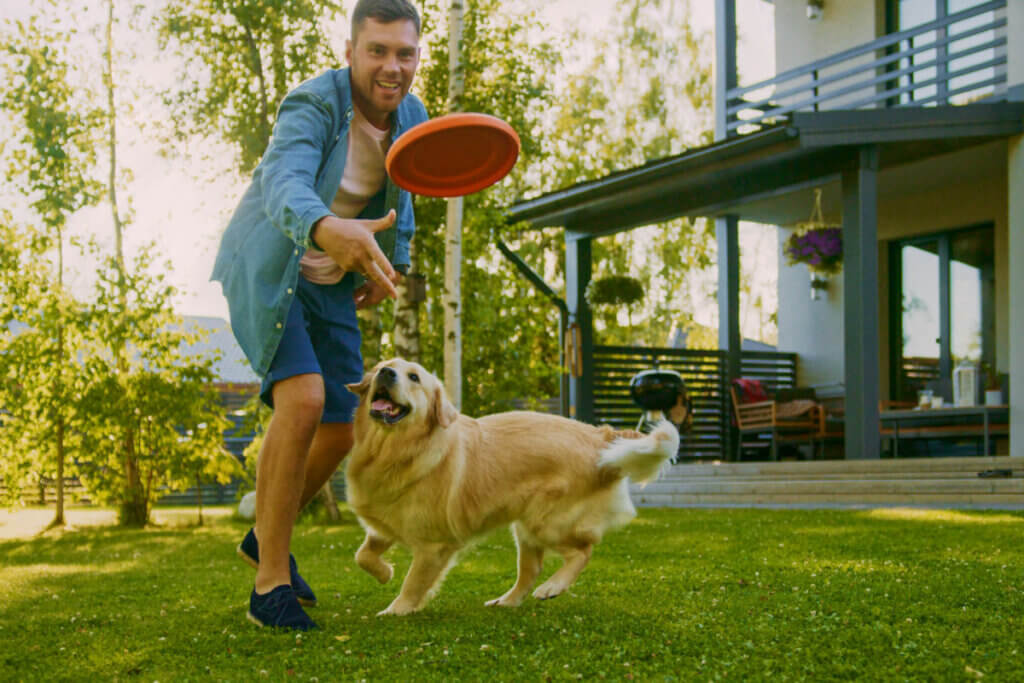 Homem jogando frisbee para cachorro em gramado, no quintal de uma casa