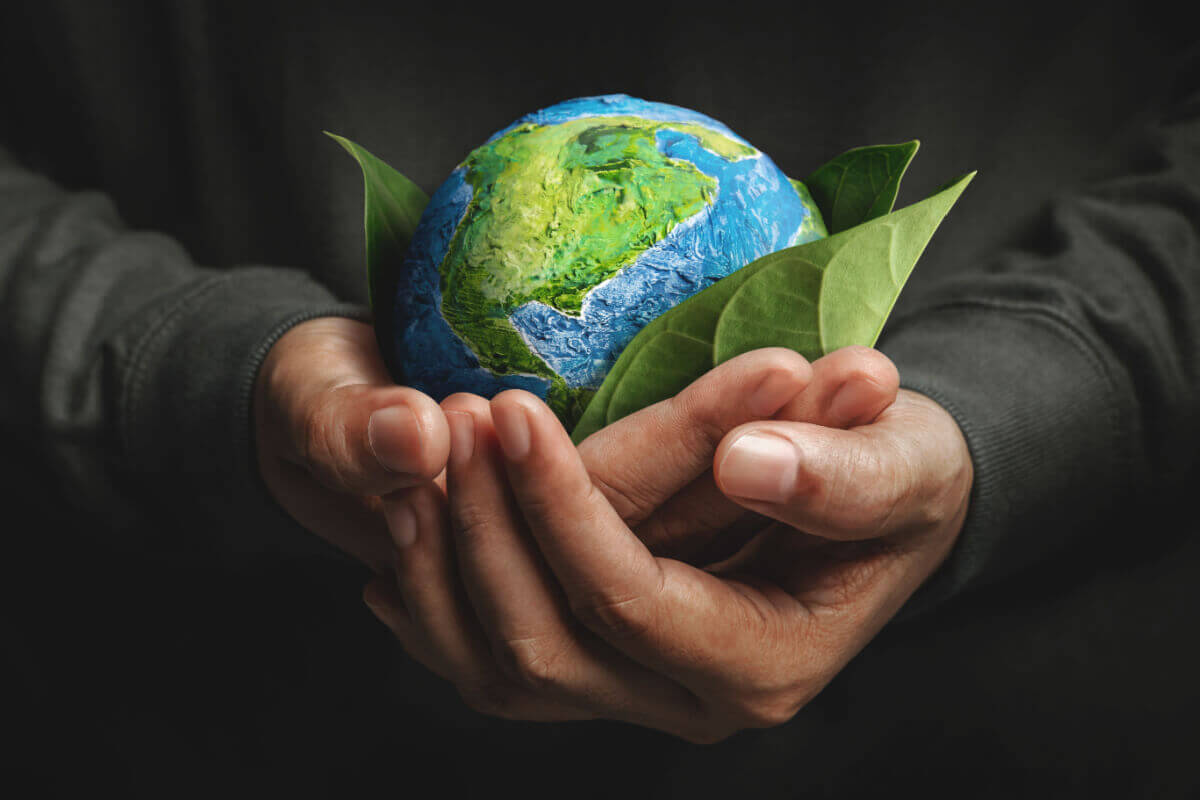 5 mitos e verdades sobre sustentabilidade no ambiente corporativo