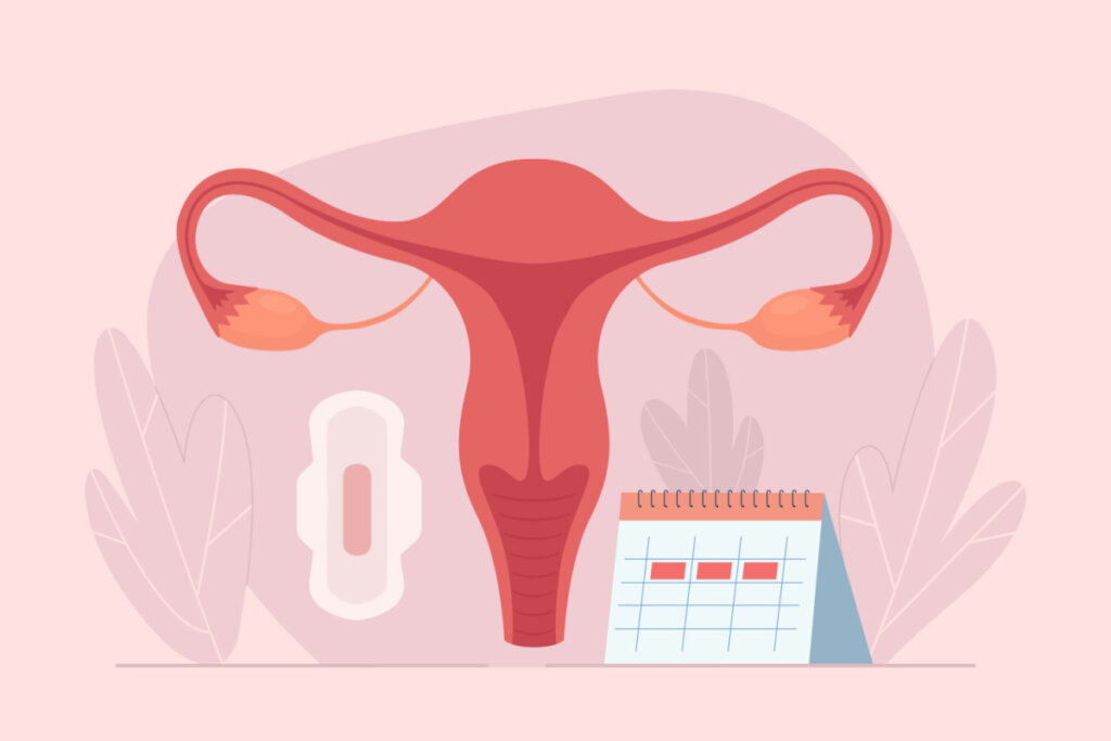 Ilustração de um útero, um absorvente e um calendário em tons de rosa