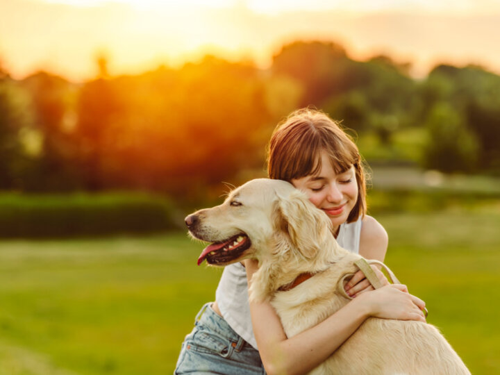 6 motivos pelos quais os cachorros entendem as emoções do tutor 