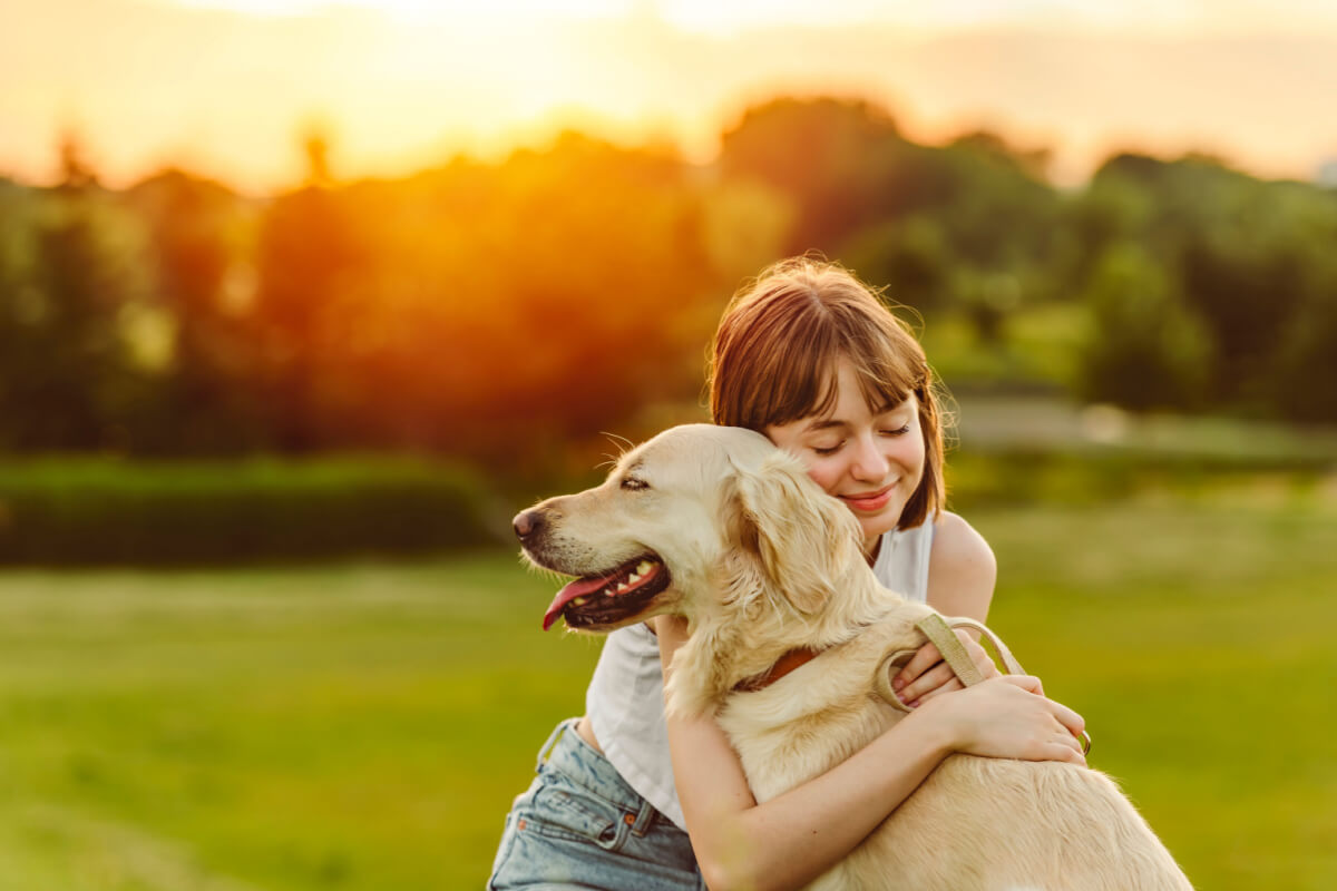 6 motivos pelos quais os cachorros entendem as emoções do tutor 