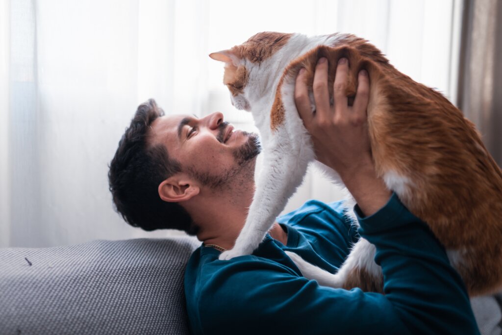 Homem sentado no sofá segurando gato nas mãos