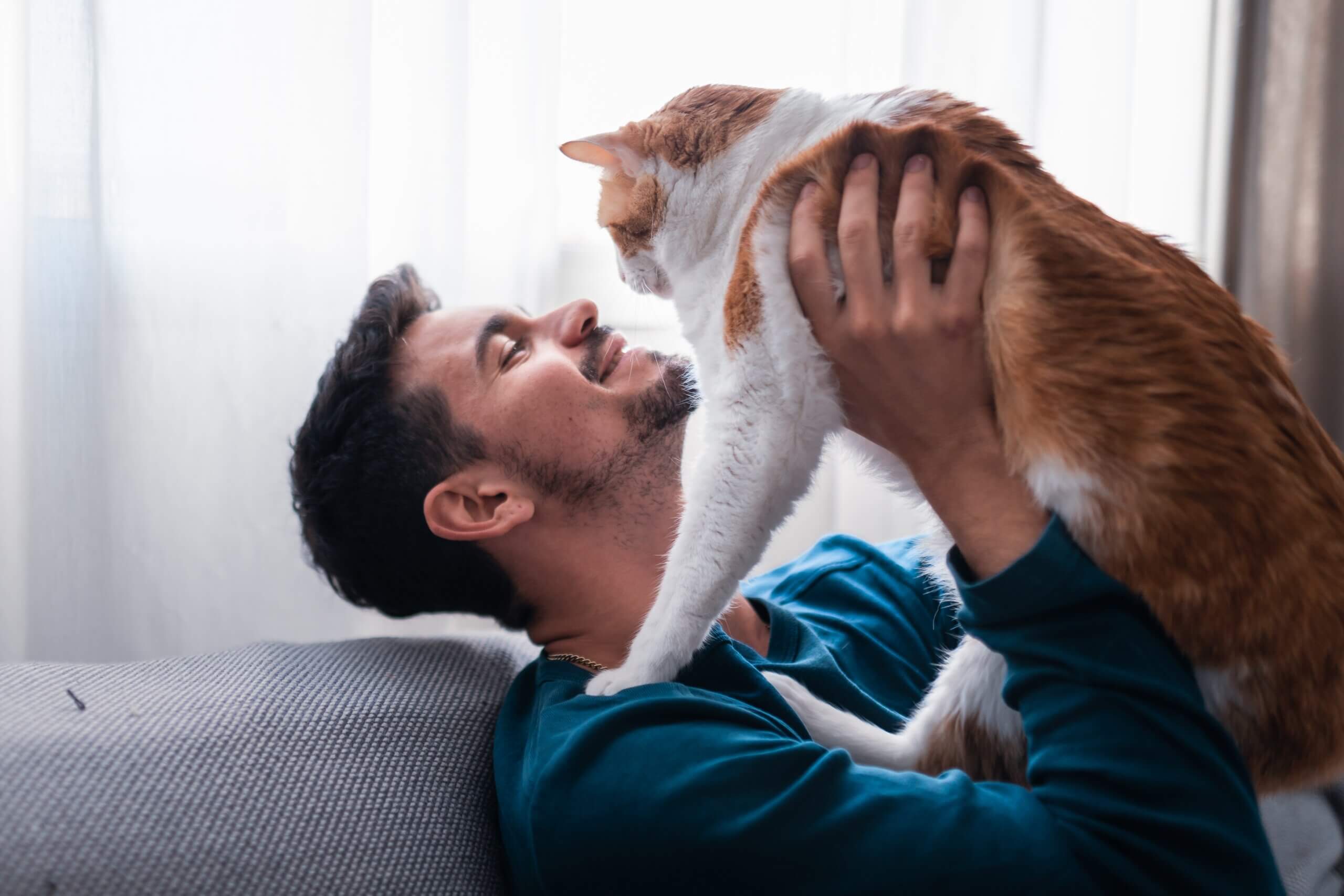 9 fatos exclusivos sobre a relação entre gato e tutor 
