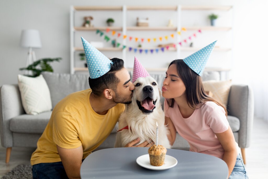 Casal fazendo festa de aniversário para cachorro na sala