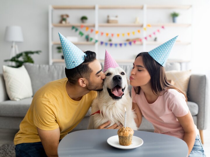 7 dicas para a festa de aniversário do seu cachorro 