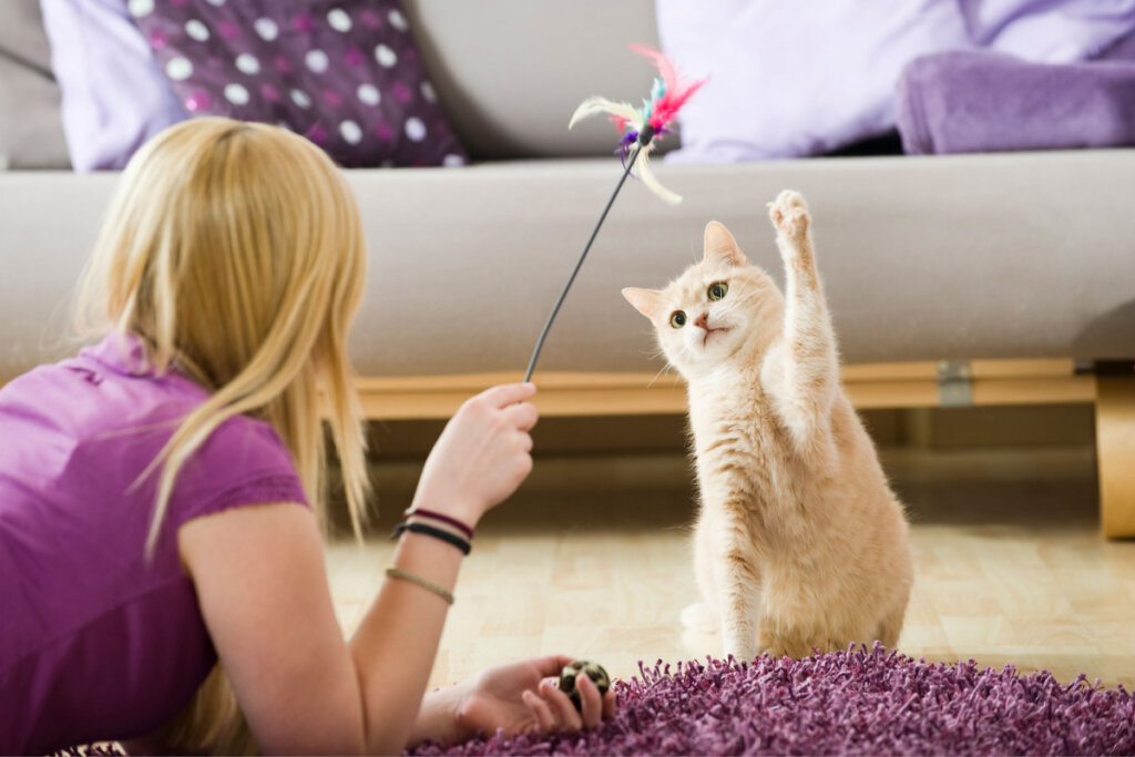 Garota brincando com gato com uma pena