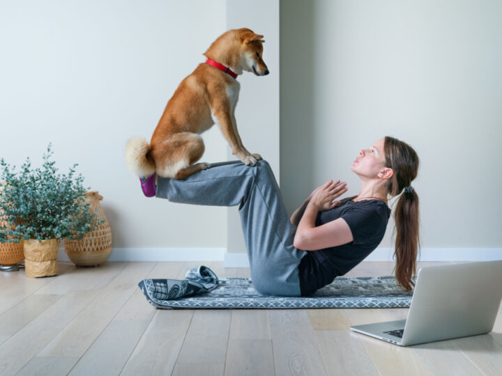 Yoga para cachorro: conheça os benefícios da doga 