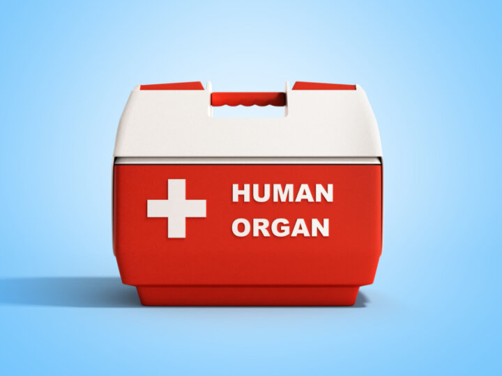 6 fatos que você precisa saber sobre doação de órgãos