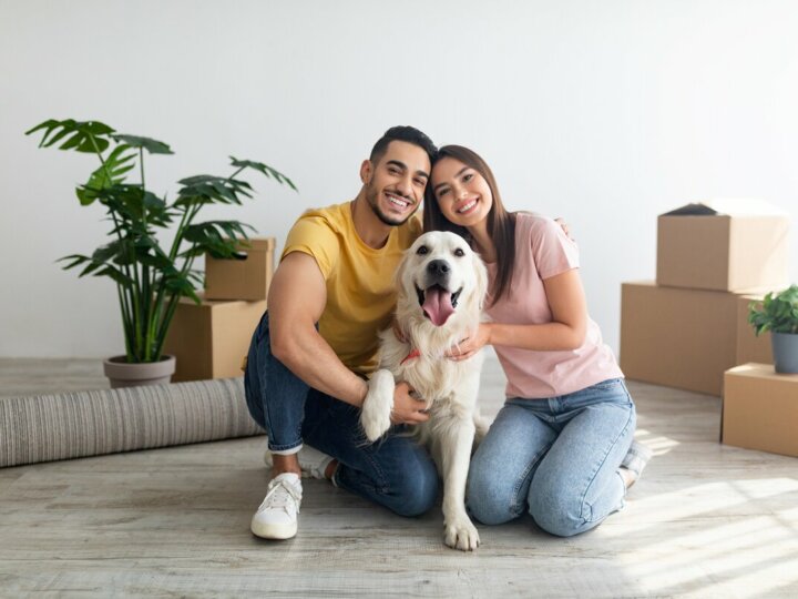 4 dicas para adaptar os pets ao novo lar