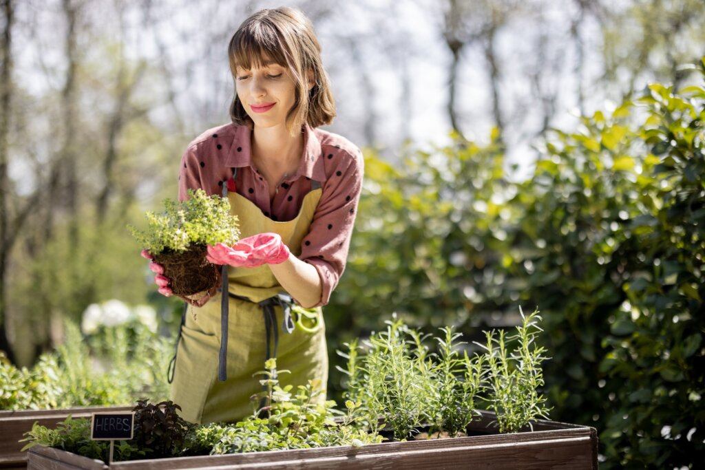 Mulher jovem plantando em horta caseira
