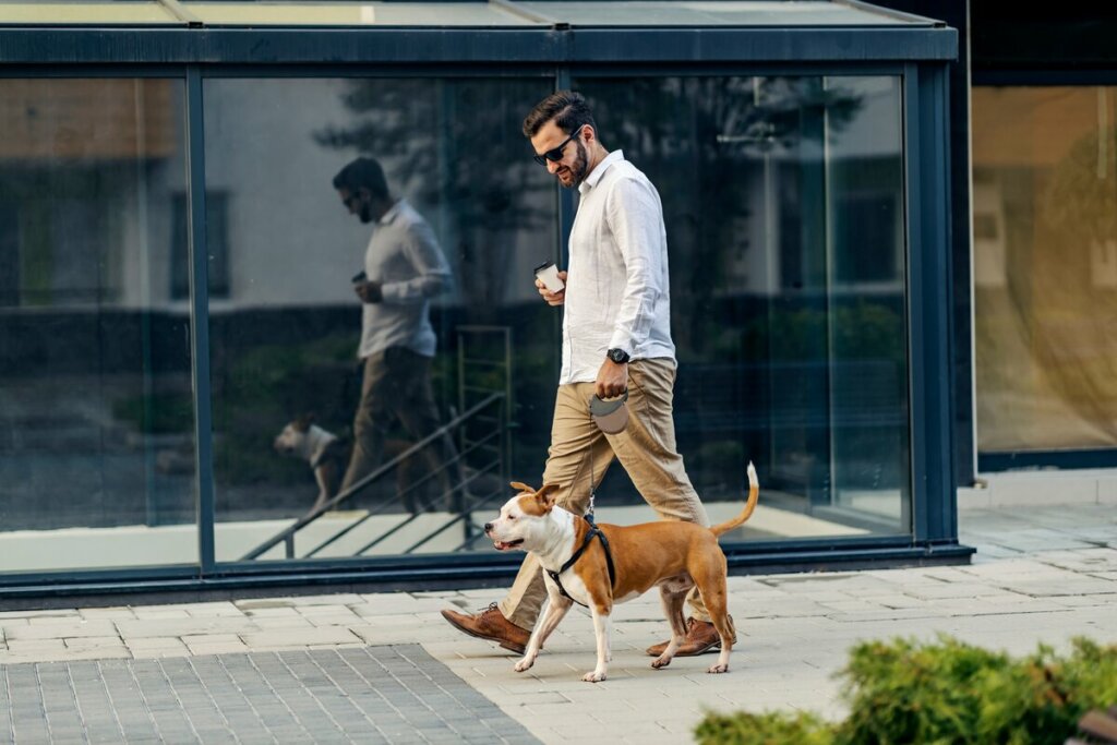 Homem vestido com roupa social e segurando um copo de café passeando com um cachorro
