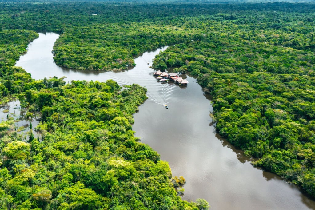 Vista aérea da floresta Amazônica