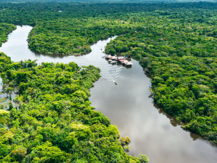Dia da Amazônia: 5 dicas para ajudar a preservar o meio ambiente