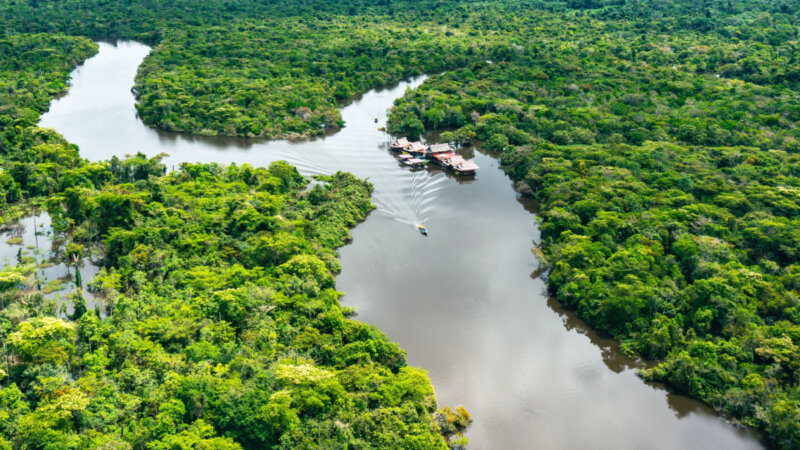 Dia da Amazônia: 7 dicas para preservar o meio ambiente