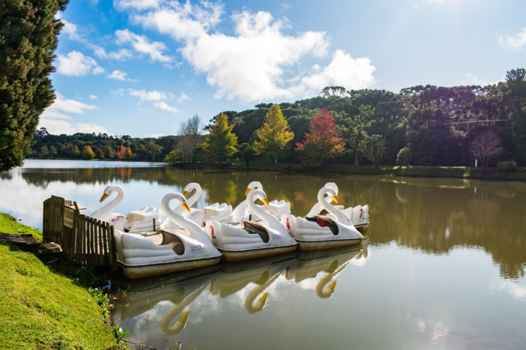 Pedalinhos de cisne no Lago São Bernardo - destino turístico popular em São Chico, sul do Brasil