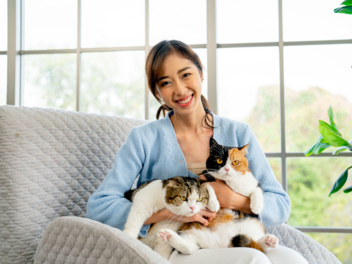 7 vantagens de ter mais de um gato em casa
