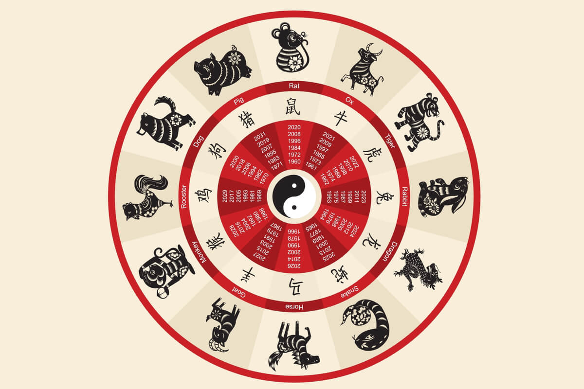 Rokudaime⚡️🔙 on X: Os símbolos nos anéis são referentes a constelações da  antiga astrologia chinesa: Rei(Zero): Pain Haku(Branco): Konan Kai(Preto):  Zetsu Sei(Azul): Deidara Shu(Vermelho): Itachi Kuu(Céu): Orochimaru  Nan(Sul): Kisame Kita(Norte