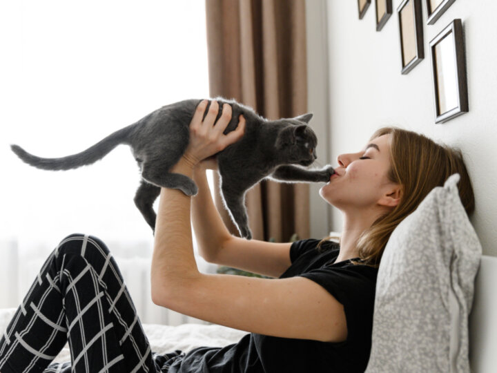 12 formas de demonstrar amor pelo seu gato 