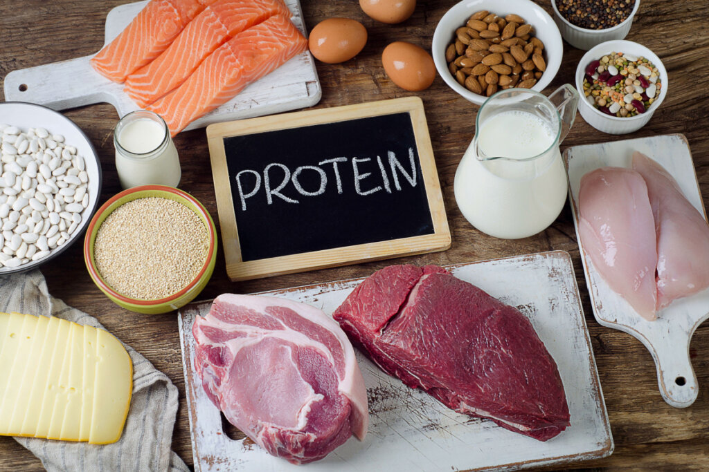 Alimentos ricos em proteínas, tais como salmão, leite, carne vermelha, ovos, frango e mais