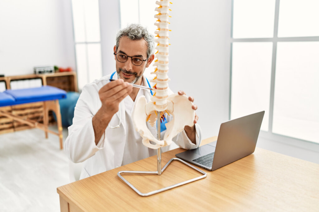 Médico avaliando um esqueleto da coluna vertebral