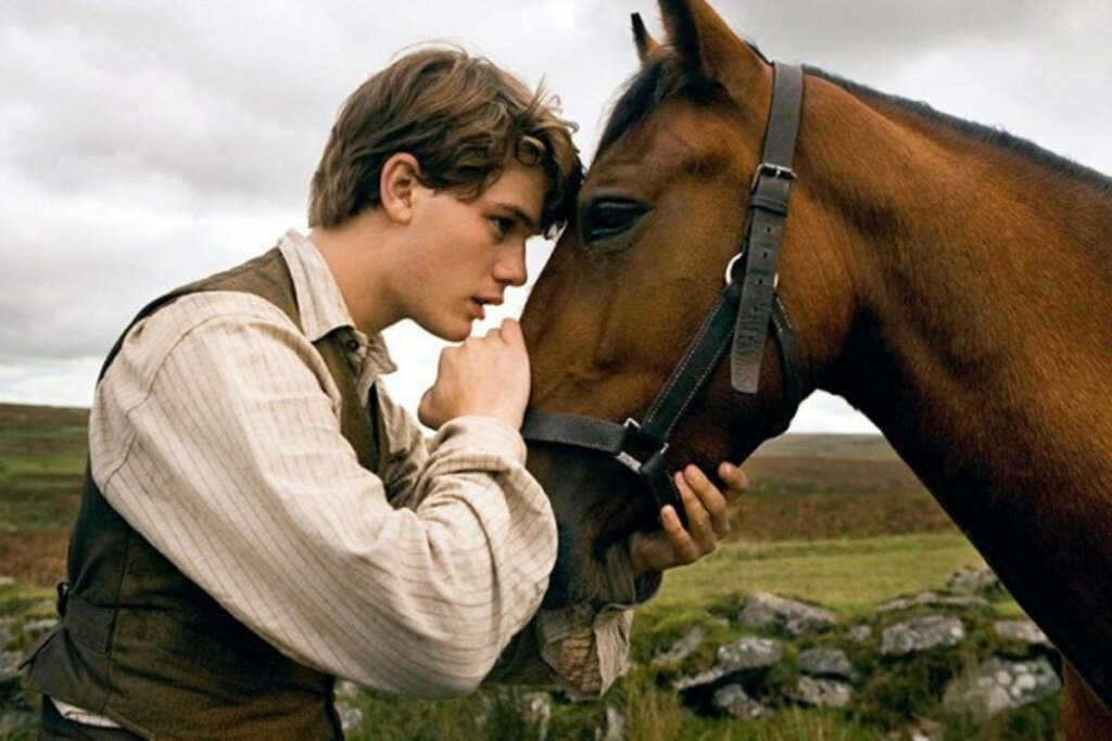 Albert e Joey do filme 'Cavalo de Guerra' em um campo 