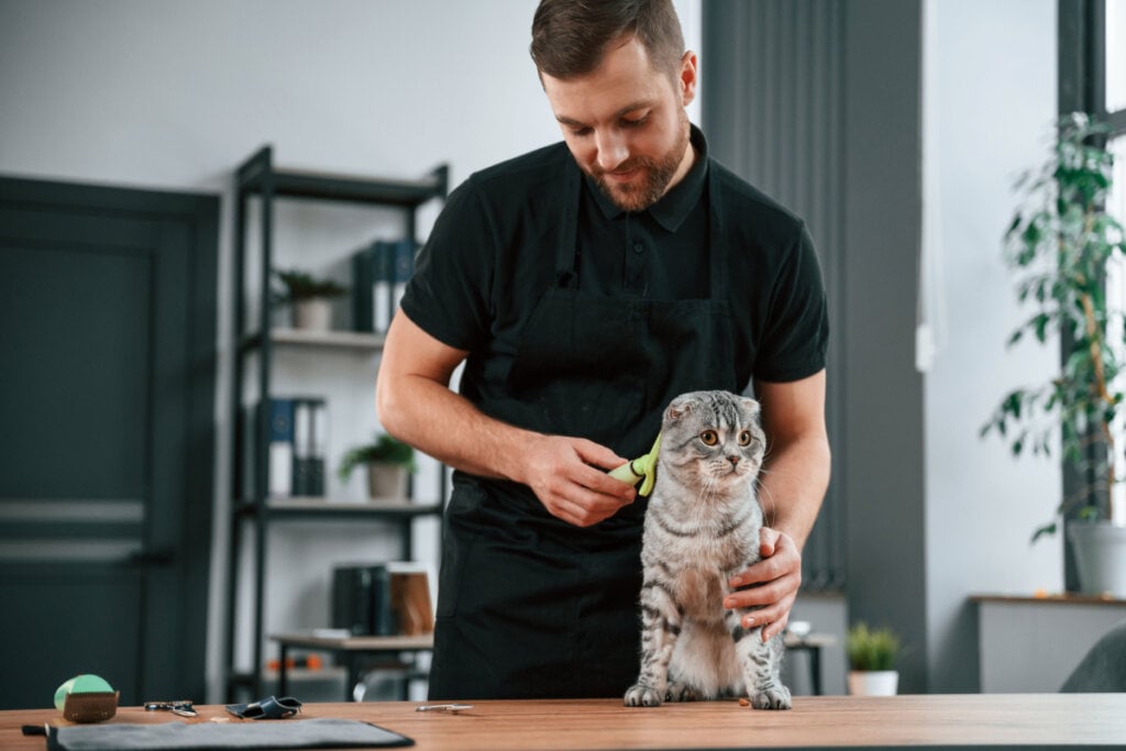 Homem vestido de preto penteando gato em cima da mesa