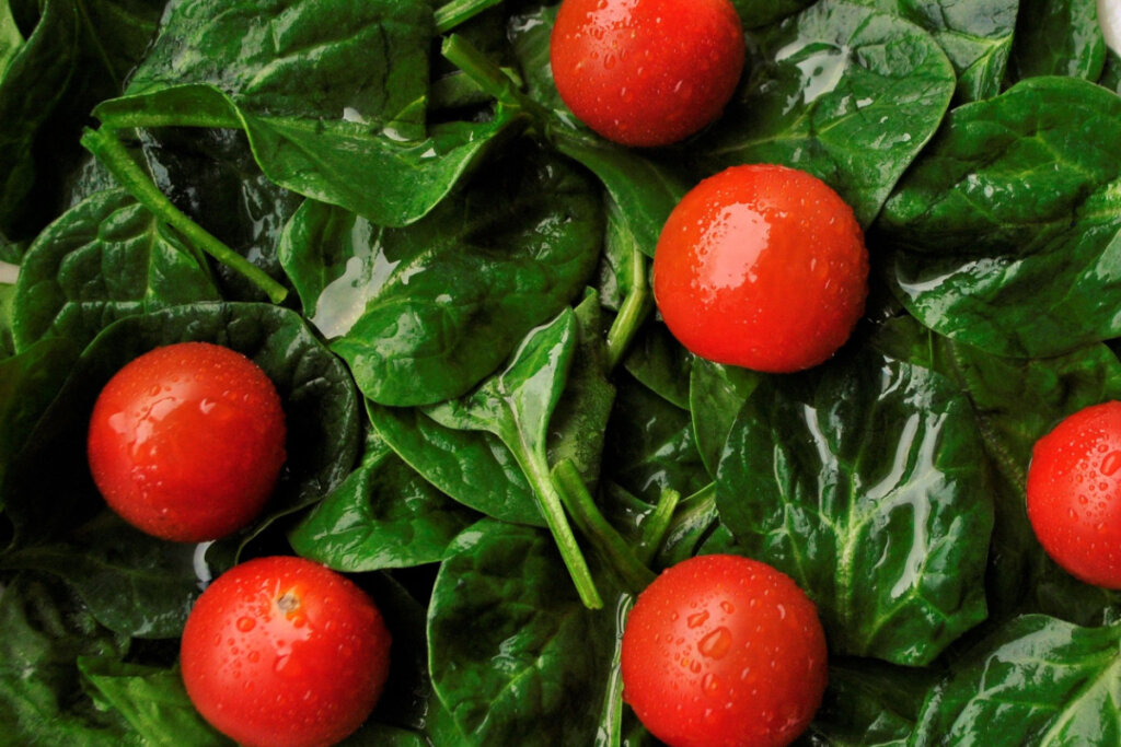 Tomates cereja frescos e enxaguados com água sobre folhas frescas de espinafre