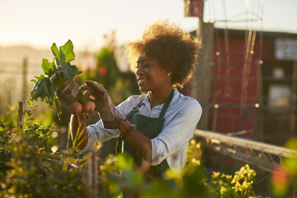 Mulher sorrindo colhendo um vegetal em uma horta