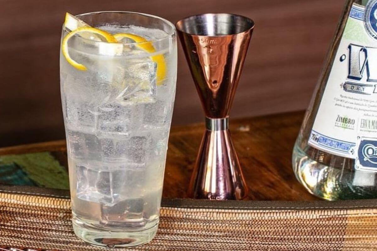 3 receitas de drinks com gin para se refrescar