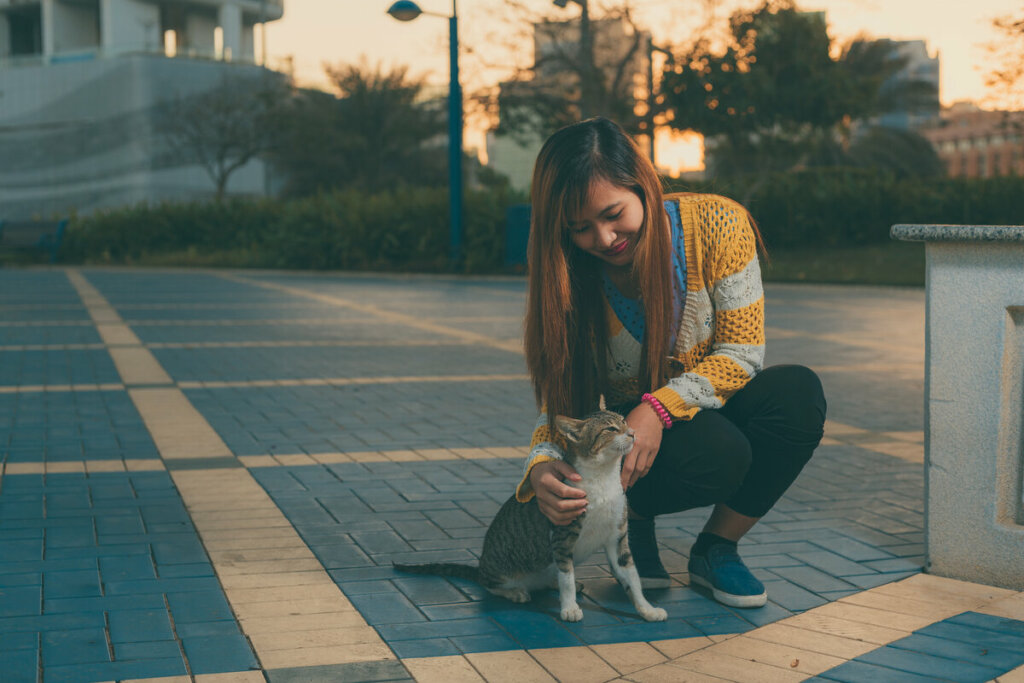 Mulher fazendo carinho em um gato na rua 