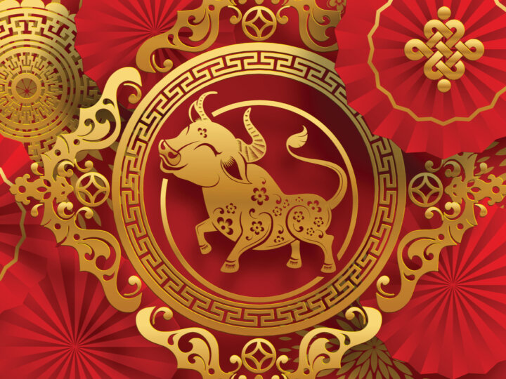 Conheça as características do signo de Búfalo no Horóscopo Chinês