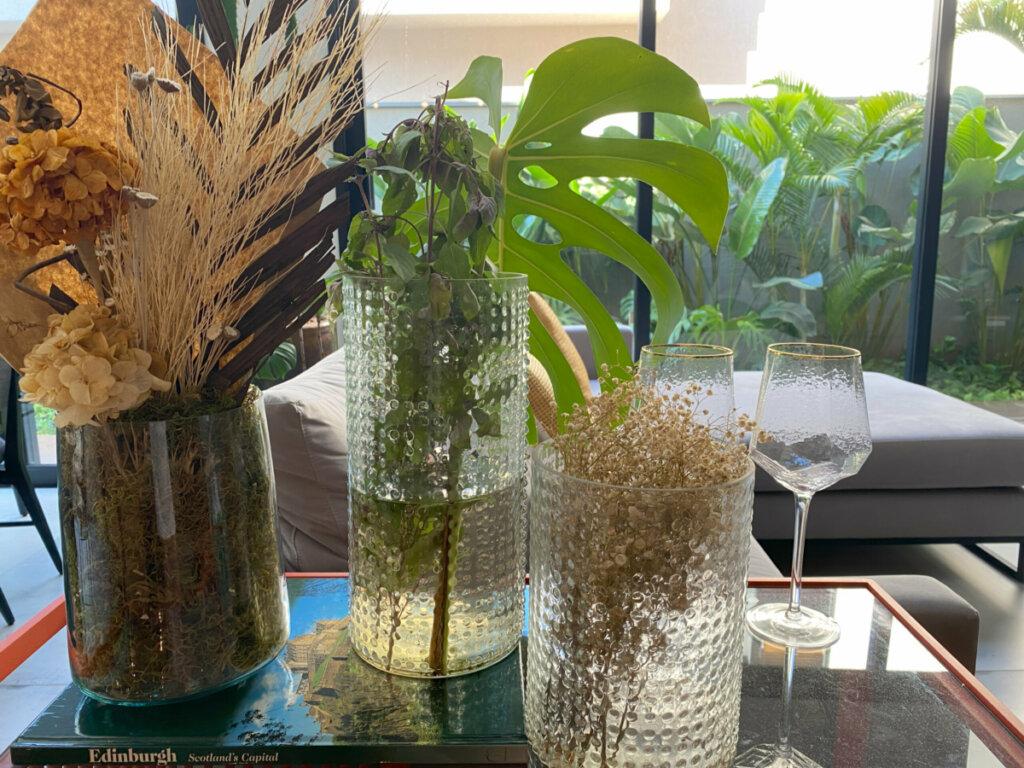 Raízes de uma planta dentro de um vaso de vidro