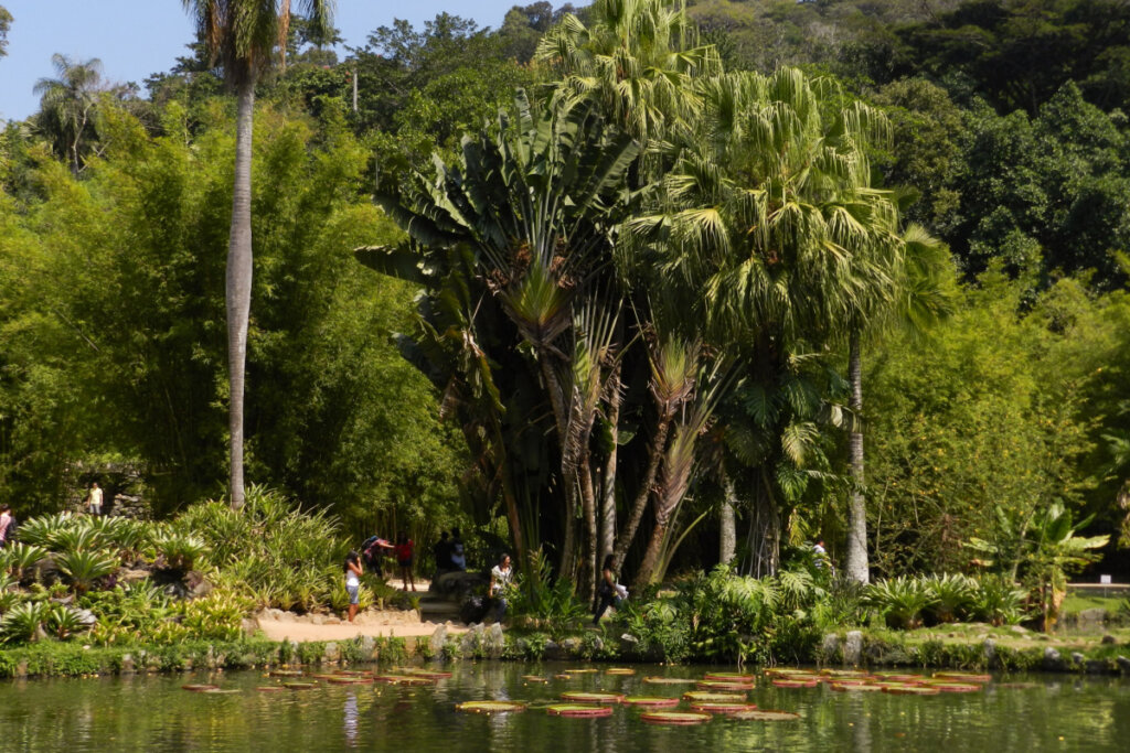 Jardim Botanico do Rio de Janeiro